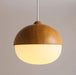 Arbora Pendant Light - A - 9.8" x 9" / 24.8cm x 23cm / No Bulb - Level Decor